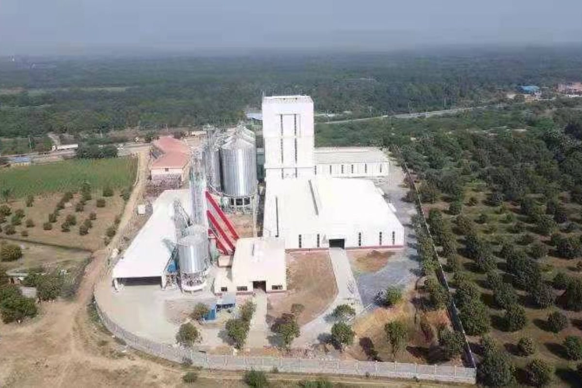 New Hope Mandalay Livestock Factoy Construction Project By Myanmar Yi JIn Steel Structure Company Limited